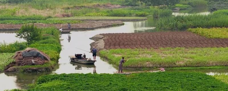 中国古代江南农业的开发,古代江南农业发展的意义