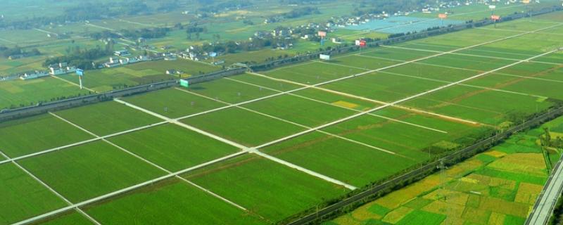 我国农业发展的有利自然条件有哪些,农业发展的重要性