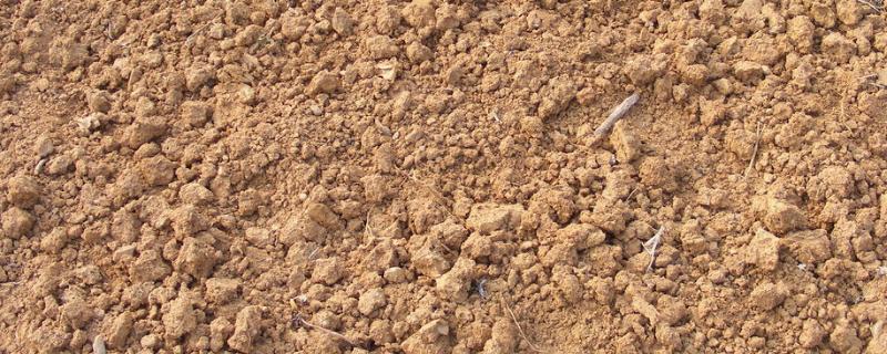 土的抗剪强度指标，土的抗剪强度与什么有关