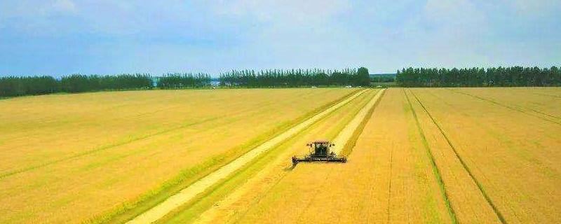 农业供给侧结构性改革的主要路径有哪些,农业供给侧改革是什么意思