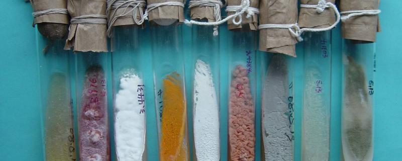 菌种保藏的原理,菌种保藏方法