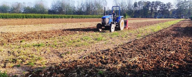 种小麦地湿压硬了能出吗,小麦种多长时间能打除草剂