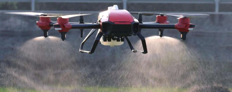 玉米地用过除草剂能种菜吗,玉米地除草剂对后茬有药害吗