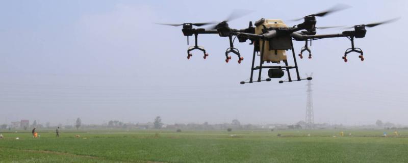 代森锌和代森锰锌的区别,代森锌的主要用途