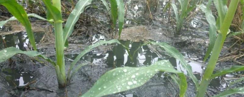 农产品污染的主要来源为,农产品污染类型有哪些