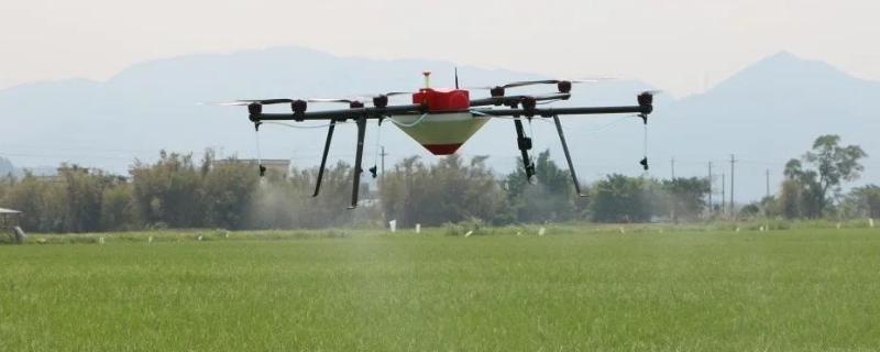 炔螨特为什么不能加矿物油,炔螨特的使用注意事项