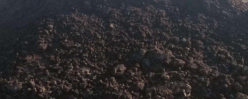 有机肥对农作物有什么作用,附正确的使用方法