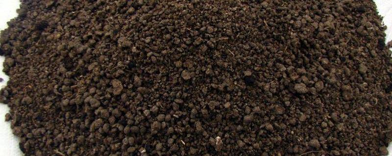 有机肥能提高农作物产量的原因,有机肥的种类