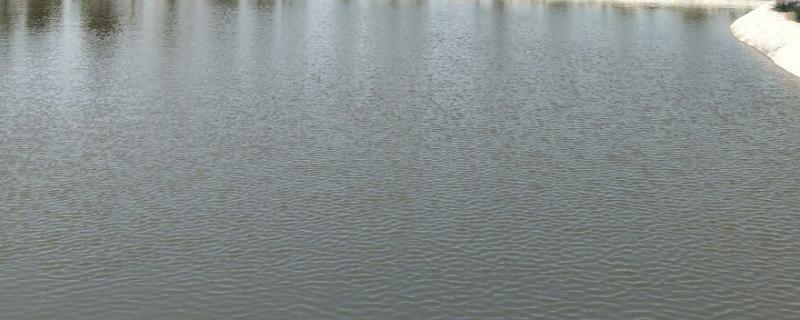 哪些土地可以挖鱼塘,挖鱼塘需要政府审批吗