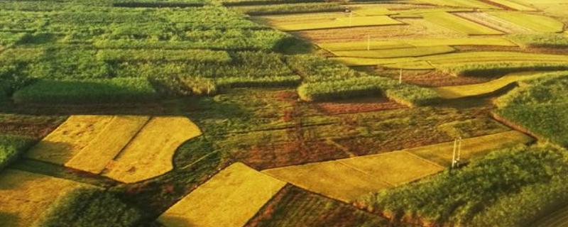 农业生产方式的两大矛盾,农业生产方式分为哪几种