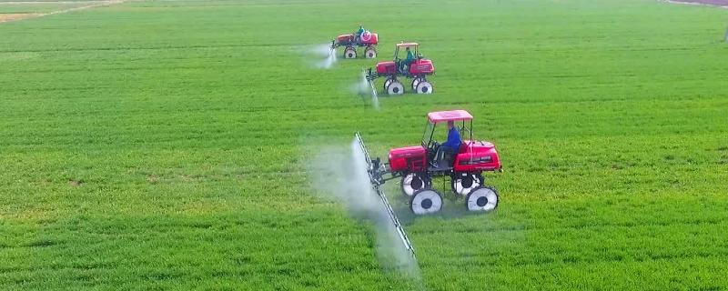 甲基异柳磷防治什么虫,甲基异柳磷对人体的危害