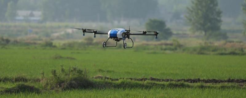 2甲灭草松能灭什么草,附使用方法和用量