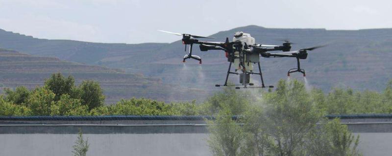 2甲氯氟吡能除什么草，2甲氯氟吡是什么