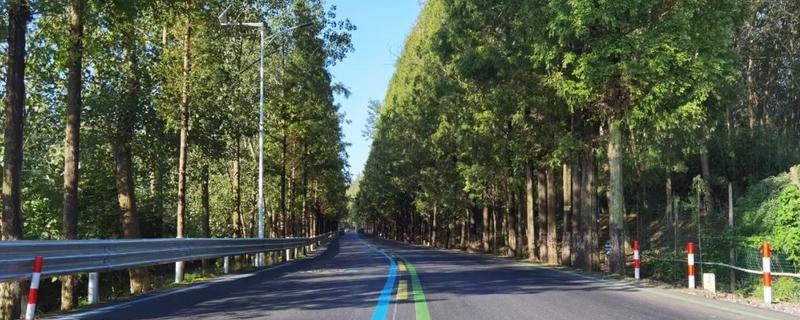 适地适树的主要途径是,适地适树的方法