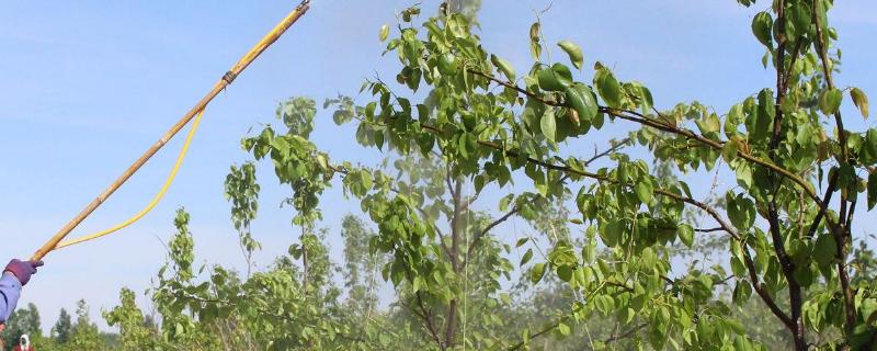 氯溴异氰尿酸复配经典配方,氯溴异氰尿酸复配注意事项