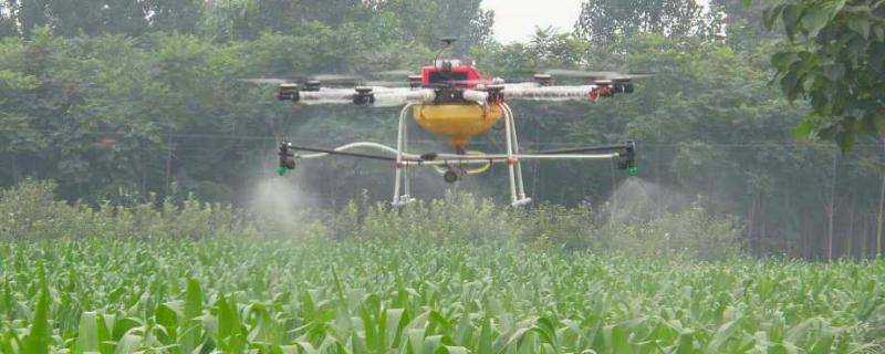 自制强力烂根除草剂，烂根除草剂有哪些