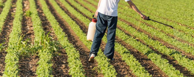 近年来农药应用以什么为特点,近年来农药企业发展现状