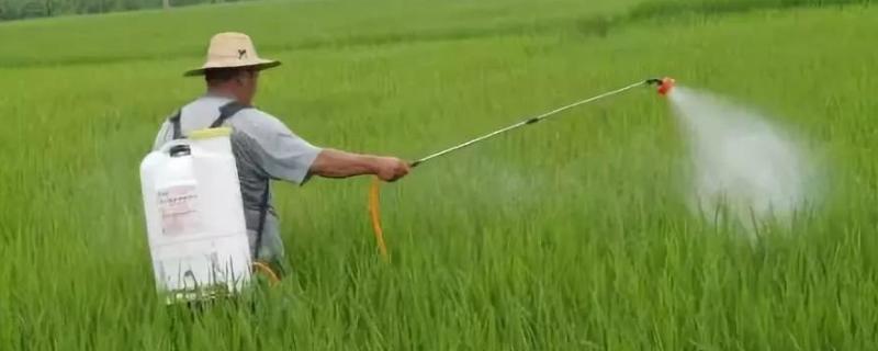 3911治什么害虫,农药残留时间是多久