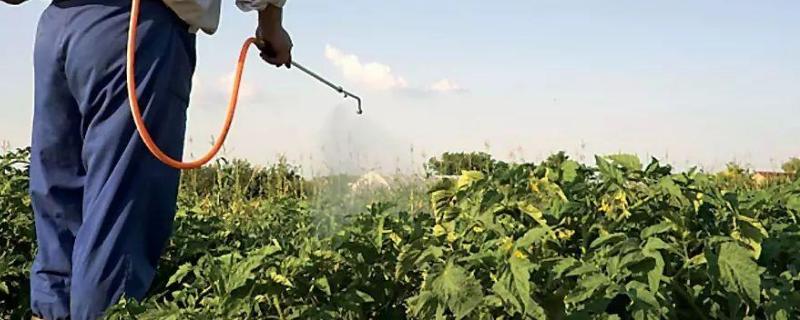 溴氰菊酯的使用,有毒吗