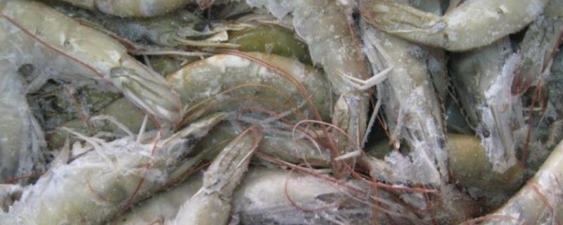 冻虾上面有白斑是咋回事，保质期是多长时间