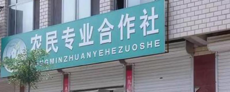 农村合作社是什么性质,农村专业合作社的意义