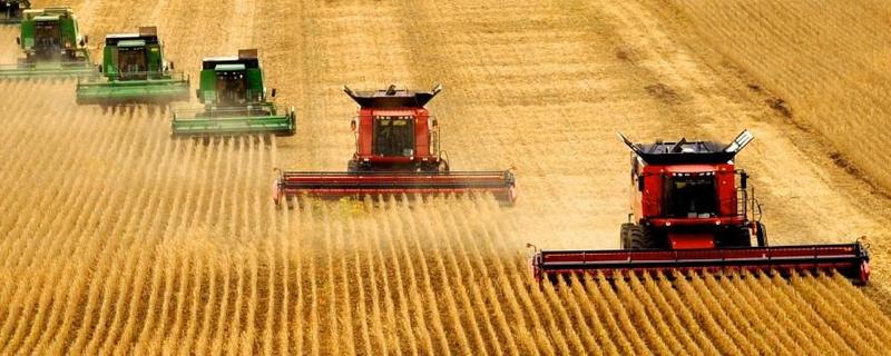 农业产业化发展存在哪些问题,如何实现农业转型升级