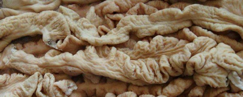 一头猪出多少斤大肠,猪血凝固不了怎么弄