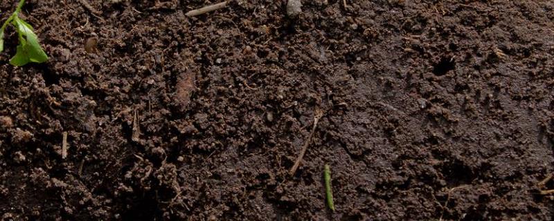 15升土等于多少斤,农村土地怎么算亩