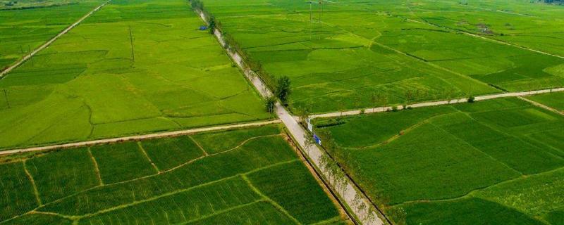 永久基本农田和基本农田的区别，耕地是农田吗