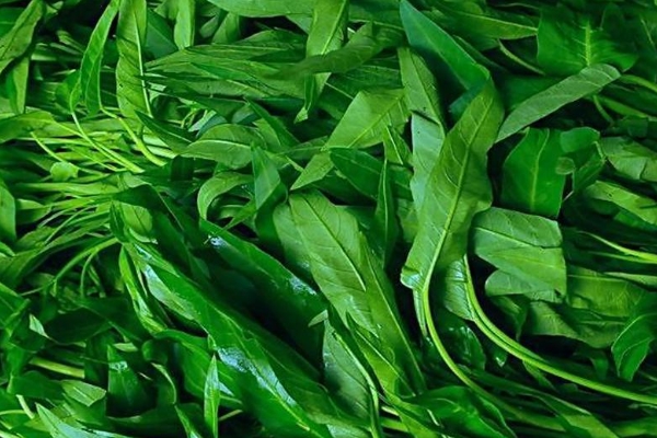 清明前后种什么农作物