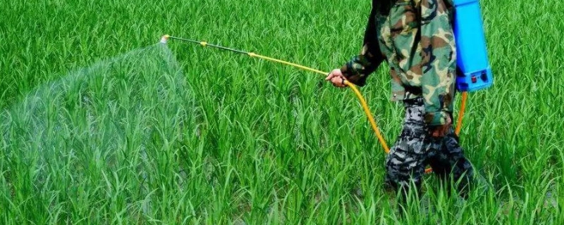 除草剂技术配方,草铵膦除草剂使用方法及注意事项