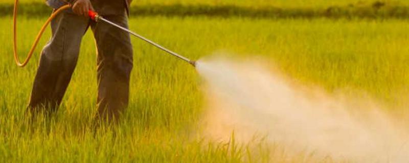 辛硫磷使用方法,对植物的根部有害吗