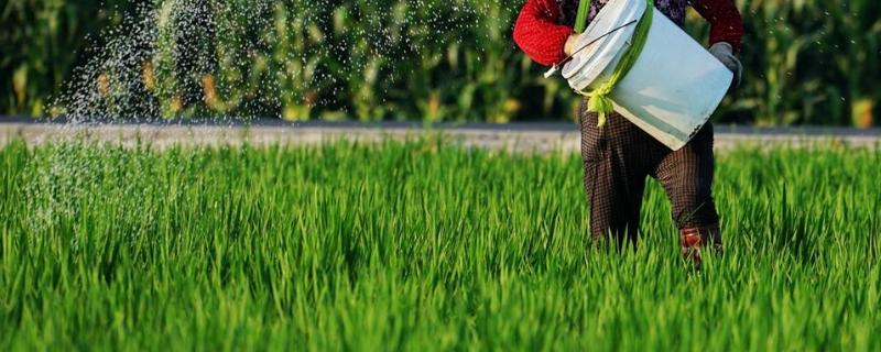 速效复合肥怎么用,多久用一次