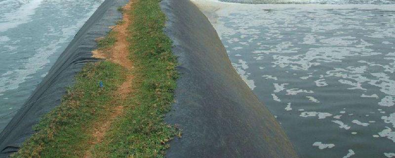 水产乳酸菌发酵方法,怎么算发酵成功