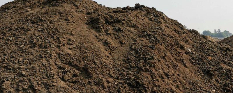 鸡粪的用途与价值,鸡粪怎么发酵才可以当肥料