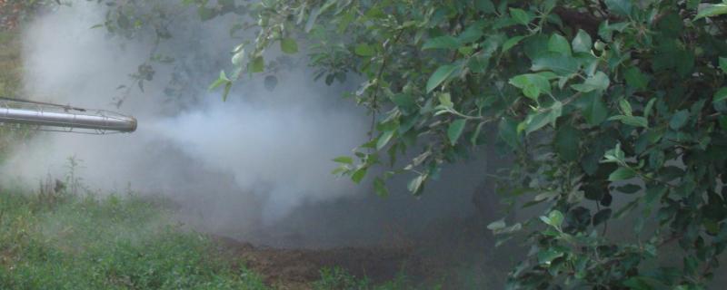 打过草甘膦几天可以播种种子,草甘膦加什么除草效果好