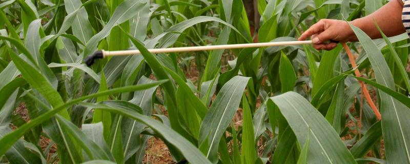 氟磺胺草醚适用的作物，氟磺胺草醚的作用及效果