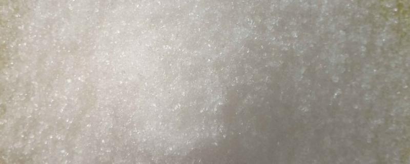 甜菜碱在钓鱼饵料中怎样使用，甜菜碱是酸性还是碱性