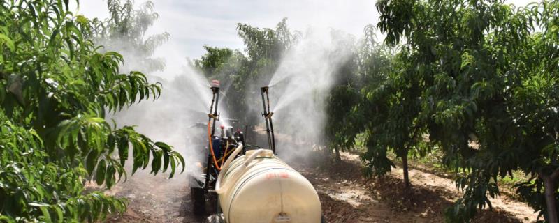 短稳杆菌防治果蝇效果,短稳杆菌属于什么农药