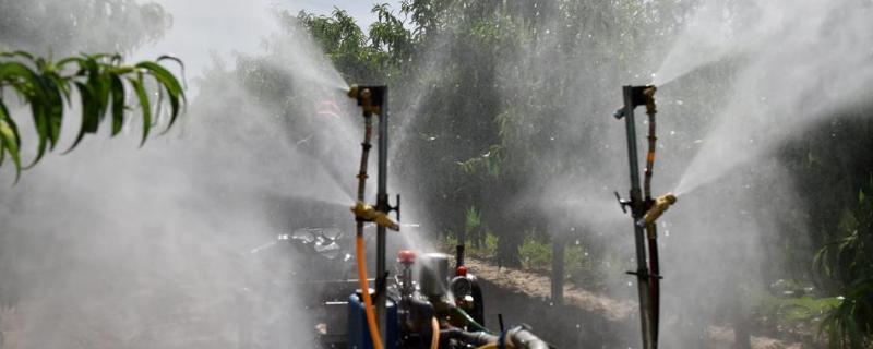 枯草芽孢杆菌果树园用法,能与杀菌一起用吗