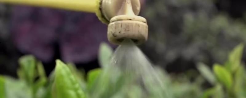 农药1500倍液是多少水,兑水后可以放多久