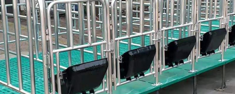 母猪产床怎么装,一般有多大尺寸