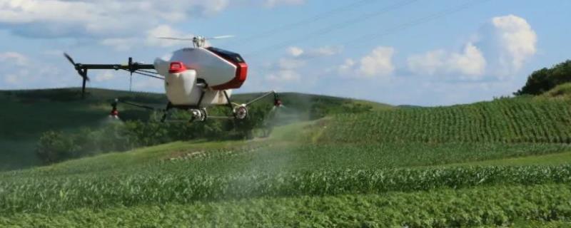 吡虫啉70兑水使用方法,和10%的有什么区别