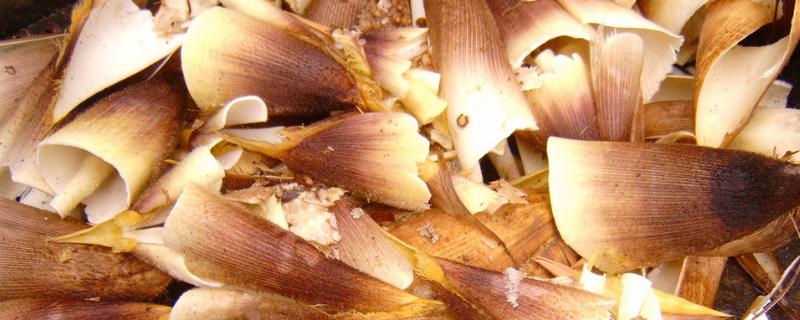 竹笋壳可以做肥料吗,竹笋壳是干垃圾还是湿垃圾