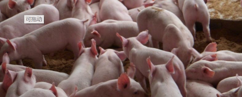 养猪场臭气除臭方案,养猪场的污水如何处理