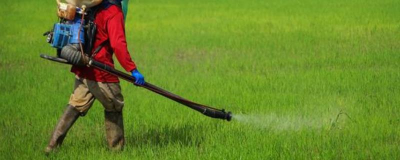 除草剂稀释后可以放多久,除草剂对下茬作物有影响吗