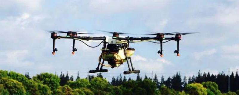 除草剂下雨会失效吗,除草剂的正确使用方法