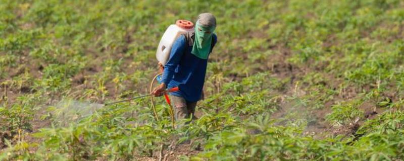 打完除草剂几天可以打营养药,打完除草剂的草多久可以喂牛