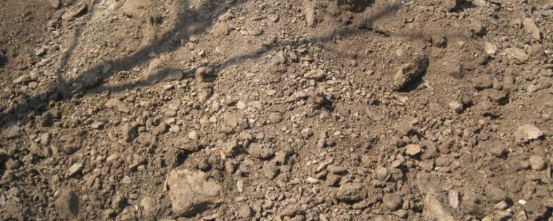 羊粪直接撒地里可以吗,羊粪属于什么肥料