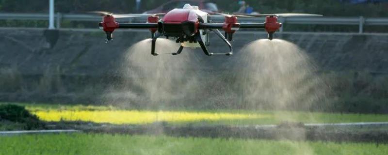 丙炔氟草胺下茬能种什么,丙炔氟草胺使用注意事项